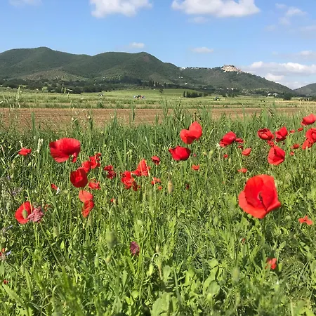 Tenuta Il Rifugio Prázdninový dům Buriano (Grosseto)